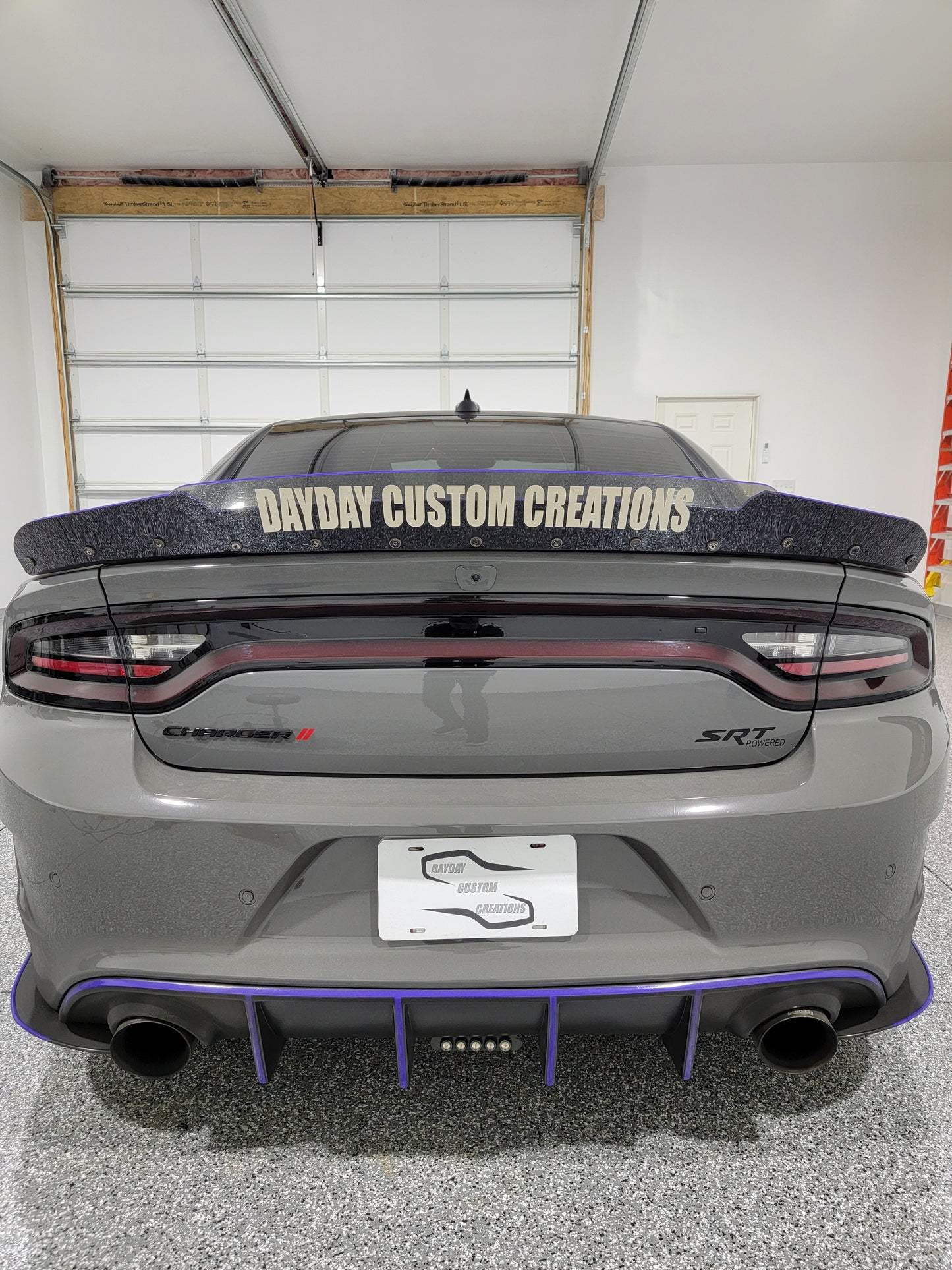 15-23 Dodge Charger Taillight Tint