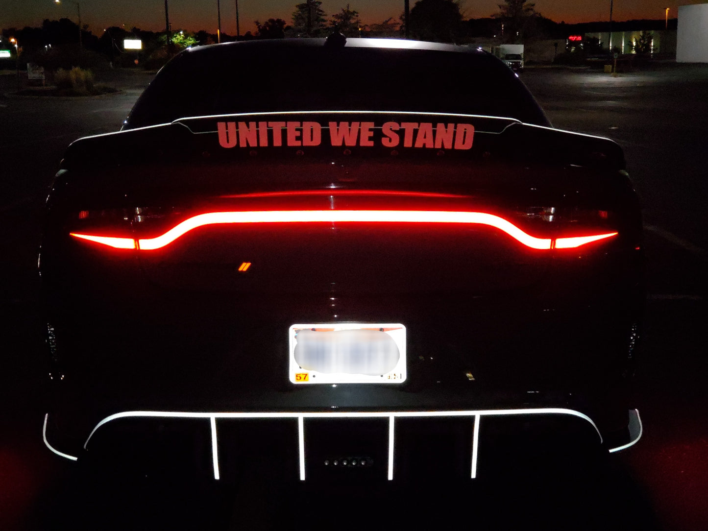 15-23 Dodge Charger Taillight Decal Design 11